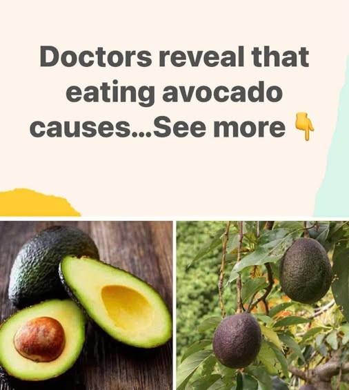 HT1. Unexpected Health Effects of Eating Avocados Revealed by Doctors