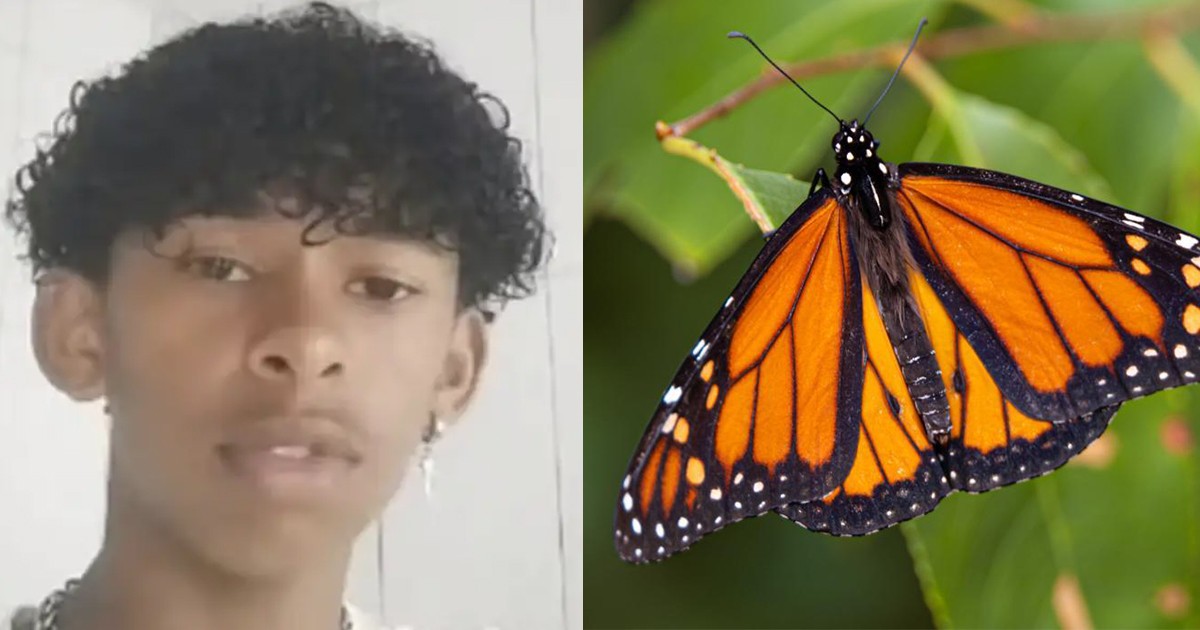 HT2. Boy, 14, dies after injecting himself with butterfly in viral online challenge
