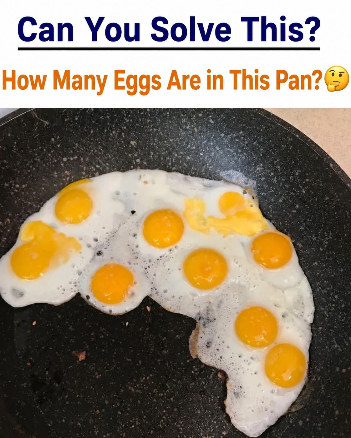 HT1. Crack the Code: The Great Egg Confusion