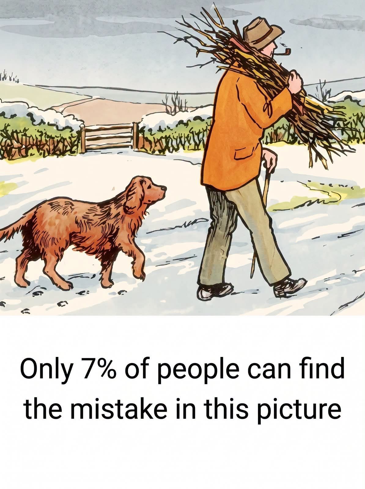 HT4. Can You Spot the Mistake in This Snowy Scene