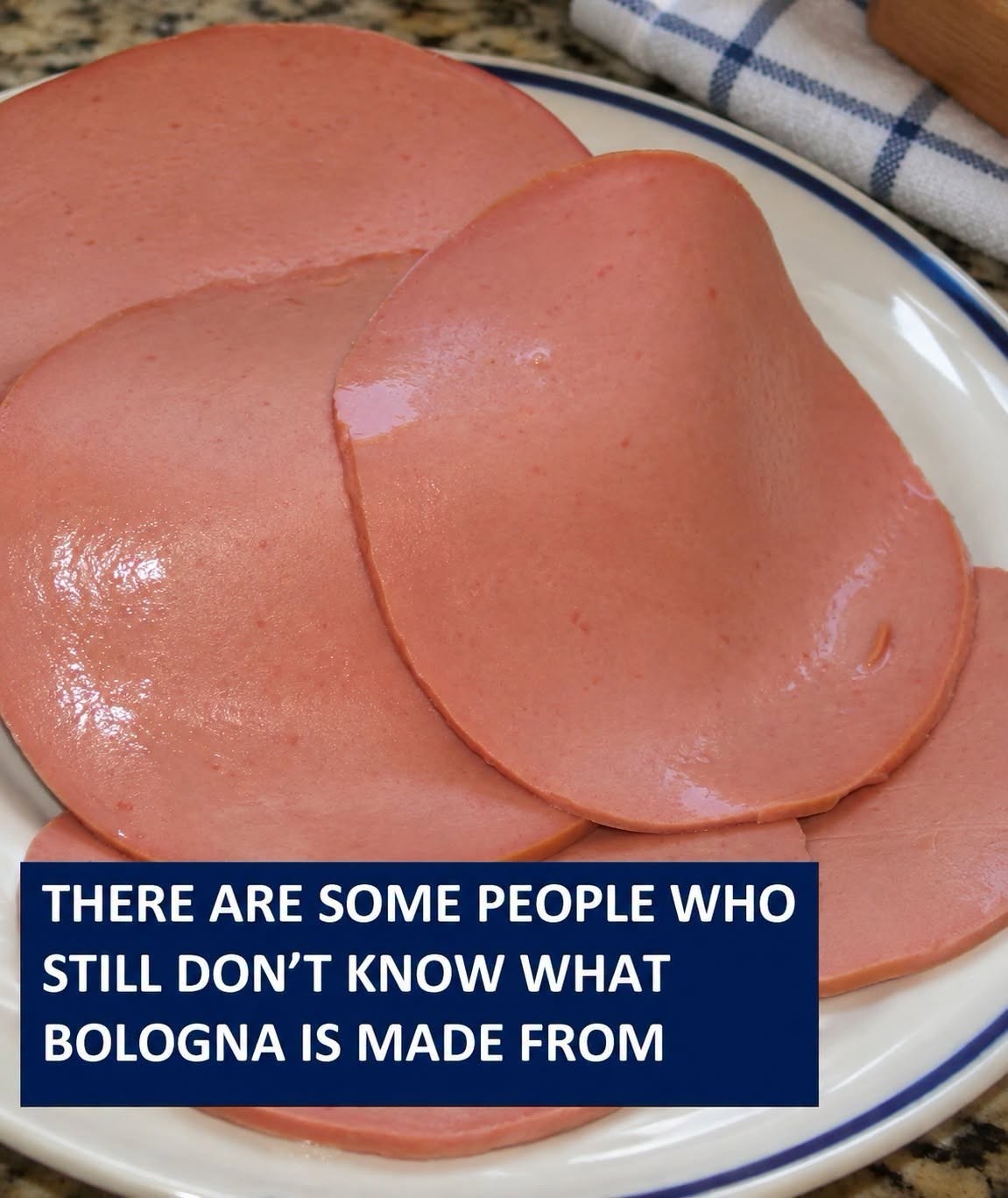HT2. What Is Bologna Made Of?