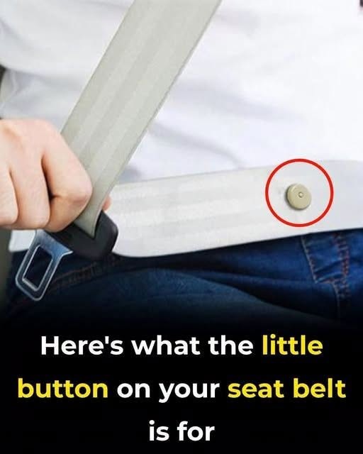 HT3. Ever Wondered What the Small Button on Your Seat Belt Is For?