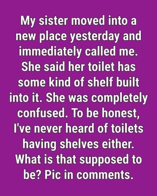 HT3. The Unusual Toilet Design That Often Surprises Travelers
