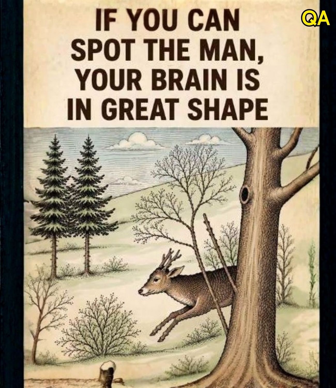 HT4. Can You Find the Hidden Figure Blending Into This Winter Scene?
