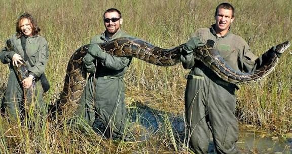 ST1. Breaking News: Soldier Survives Dramatic Encounter with Giant Snake