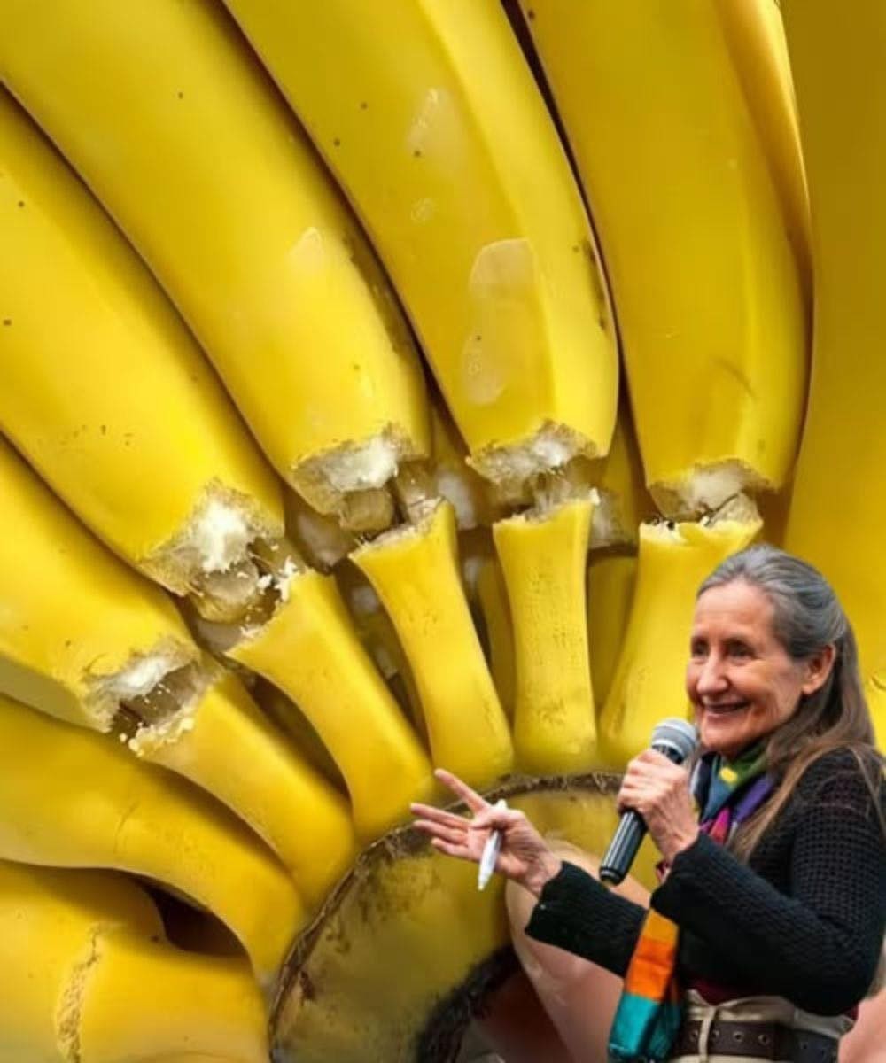 HT1. 14 Unexpected Facts About Bananas: What Lies Behind the French’s Favorite Fruit