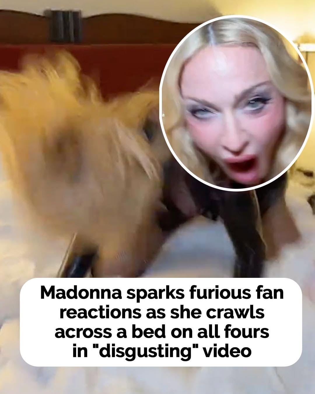 HT3. Madonna sparks furious fan reactions as she crawls across a bed on all fours in “disgusting” video