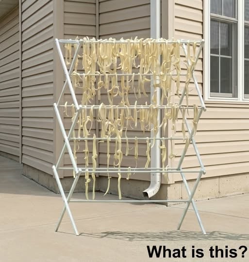 HT2. The Sun-Dried Mystery: How Homemade Pasta Turned an Ordinary Backyard Into a Neighborhood Puzzle