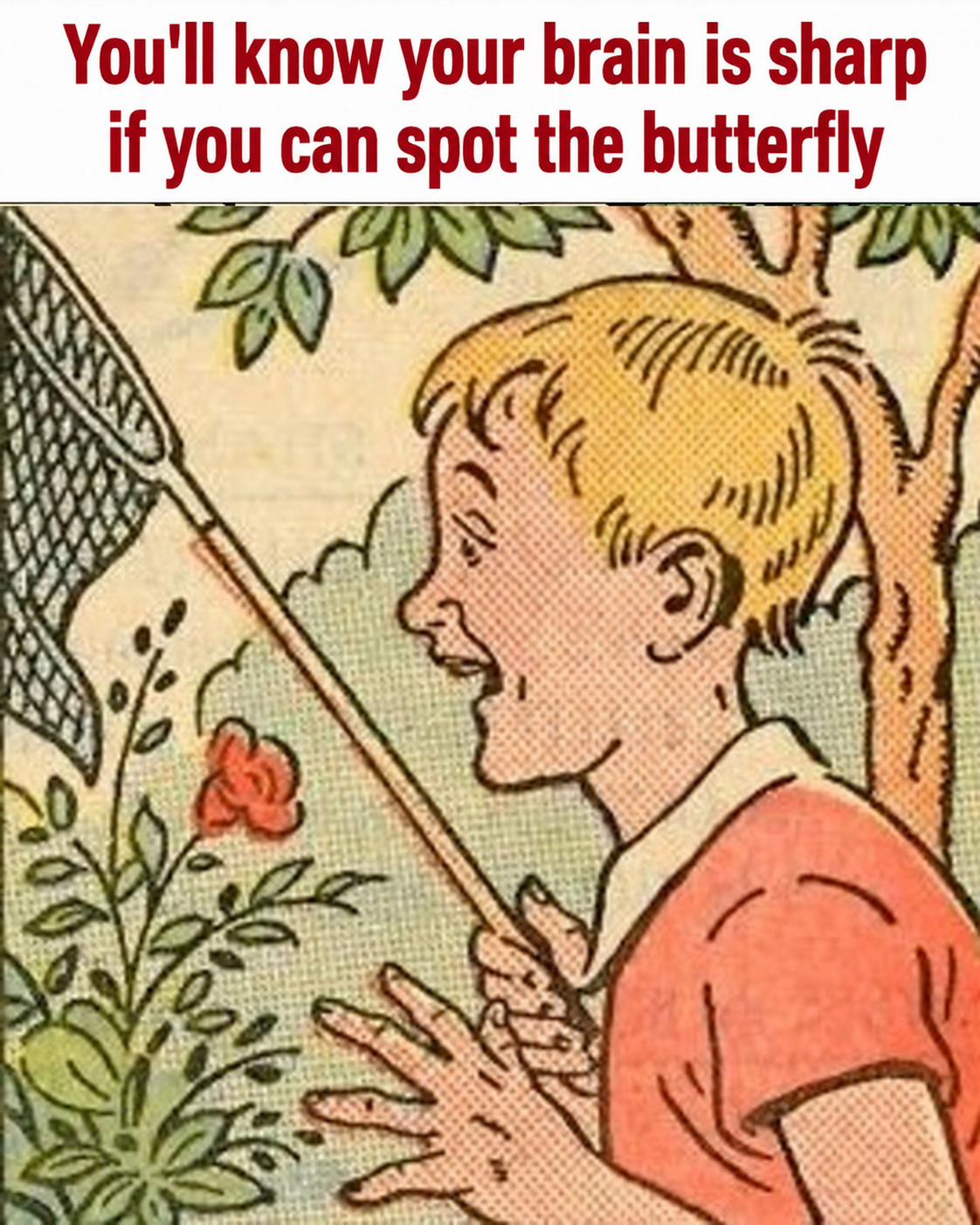 HT2. Hidden Butterfly Puzzle Challenge