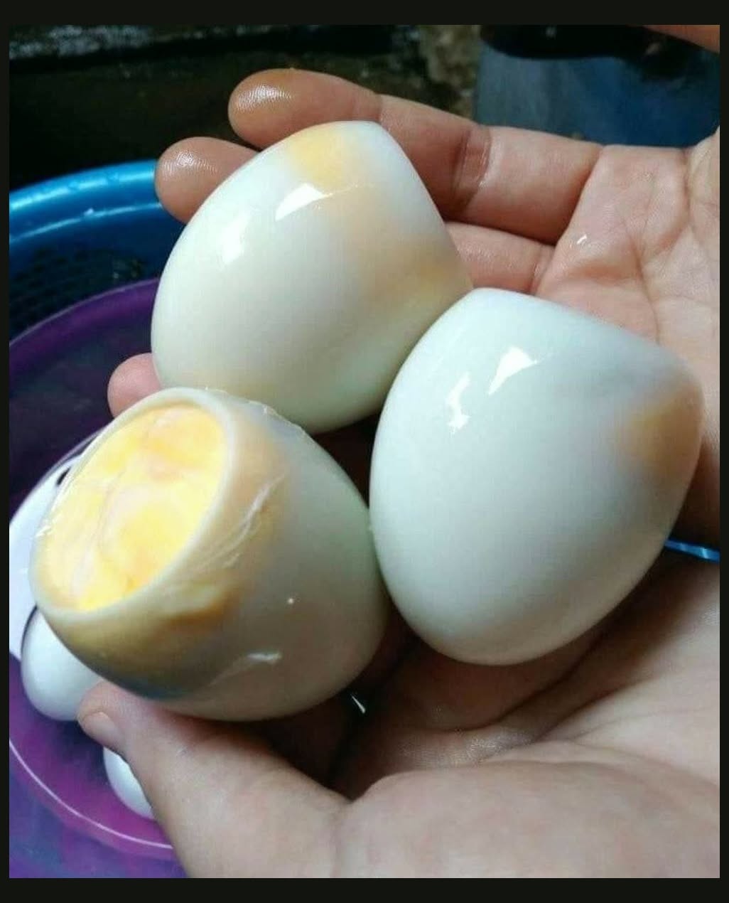 HT1. What Happens If You Accidentally Eat a Spoiled Egg Easy Egg Safety Breakfast Scramble