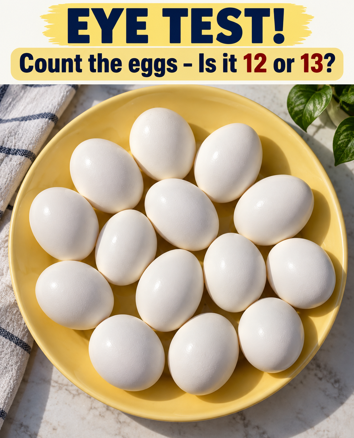 HT4. Eye Test: Count The Eggs!!