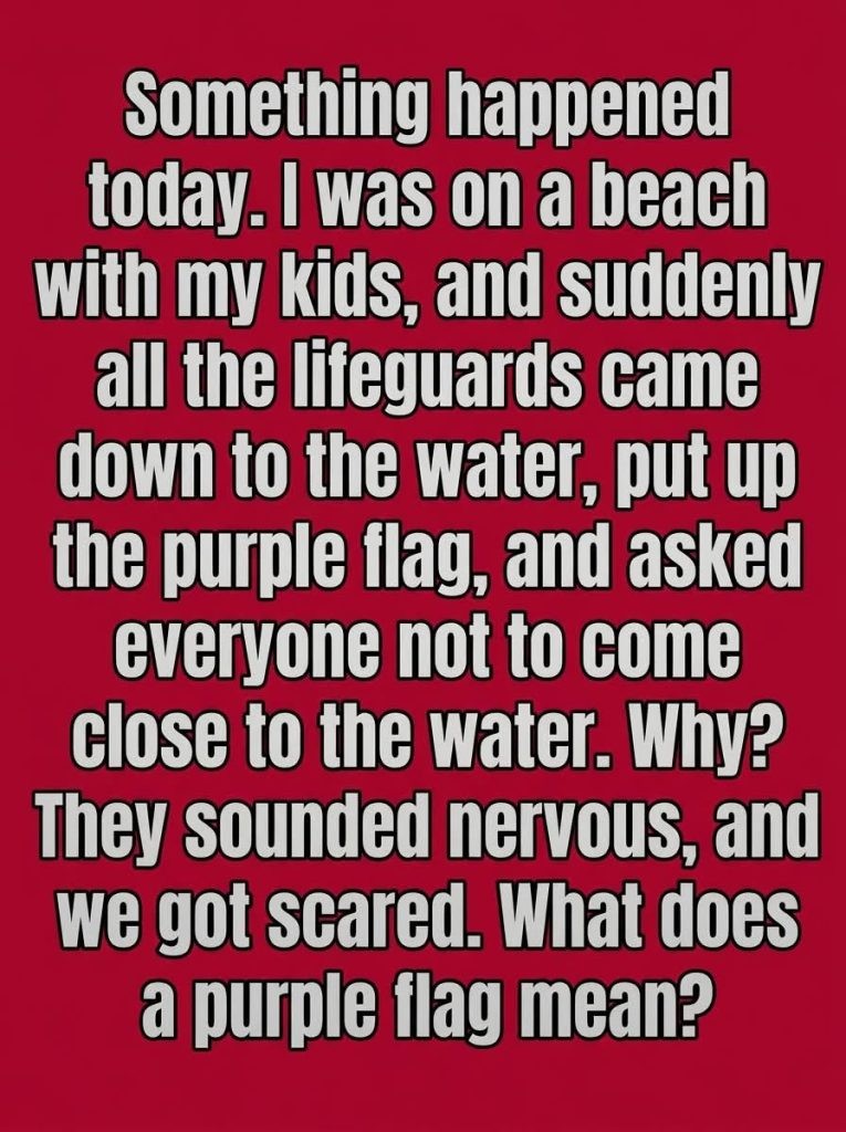 HT3. The Meaning of a Purple Flag at the Beach