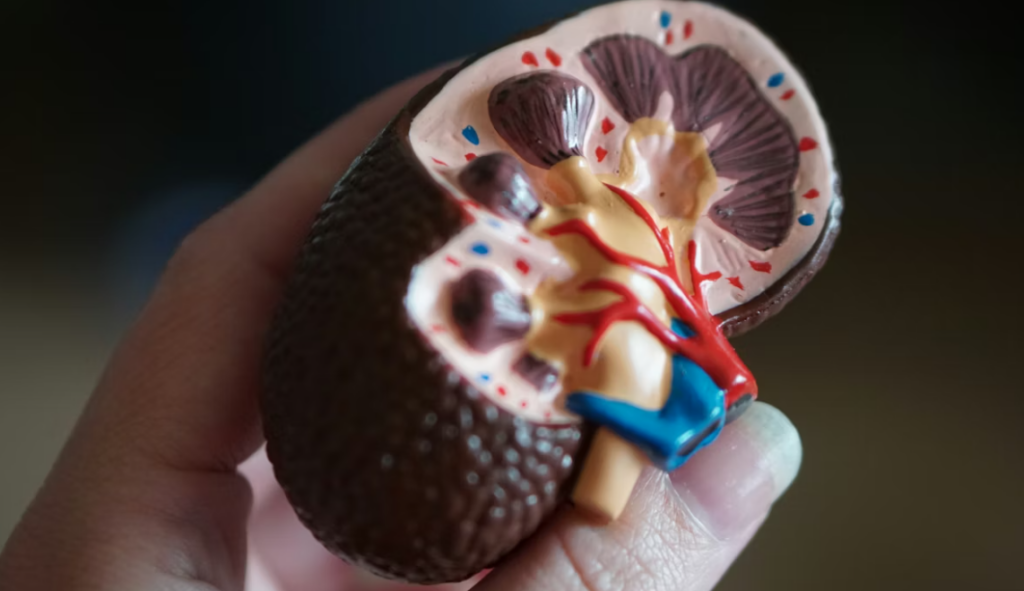 HT1. 3 types of breakfast that could be harming your kidneys –
