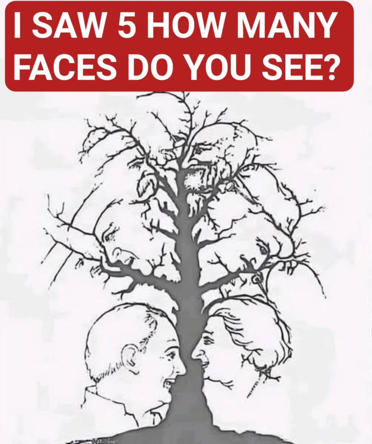 HT4. Only a Few People Notice Every Face Hidden in This Tree – Can You?
