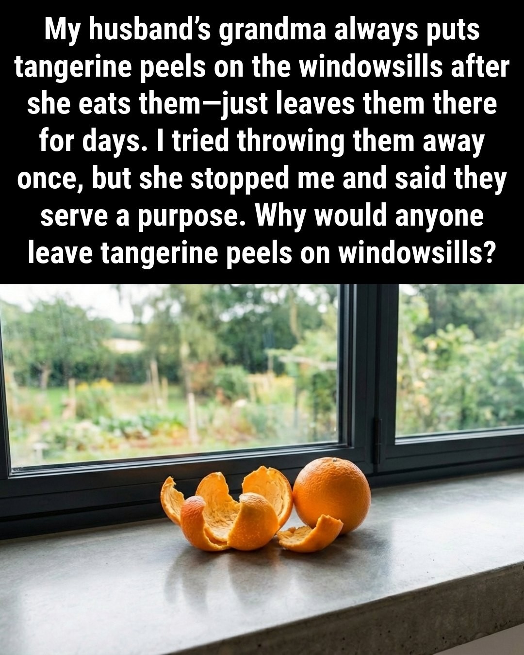 HT3. Instead of discarding tangerine peels, try putting them on your windowsill.