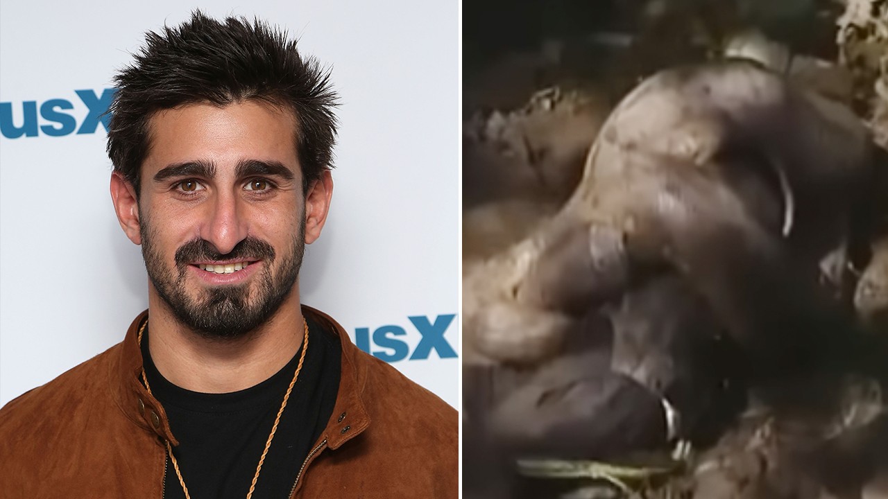 HT4. Man who let huge snake eat him alive reveals worst pain he’s ever felt