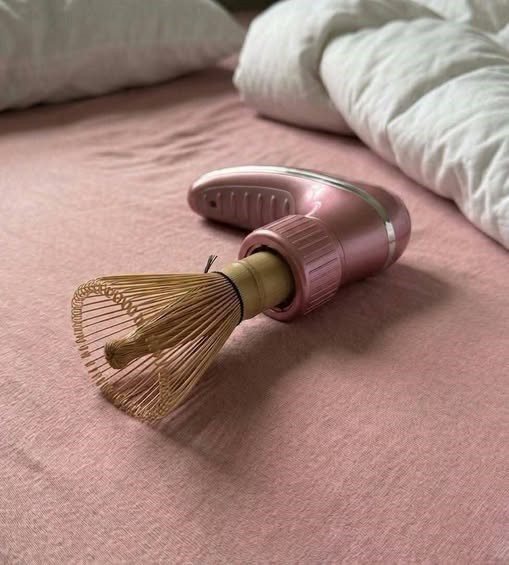 HT4. I Found This Strange Object in My Girlfriend’s Room—Can You Guess What It Was?