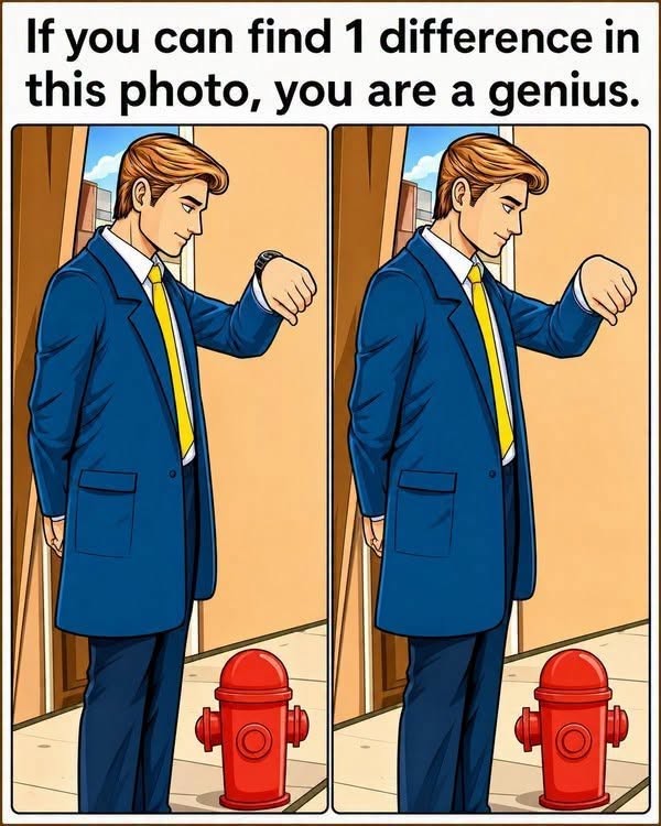 HT1. Spot the Difference: Can You Catch the Change in the Man with the Wristwatch?