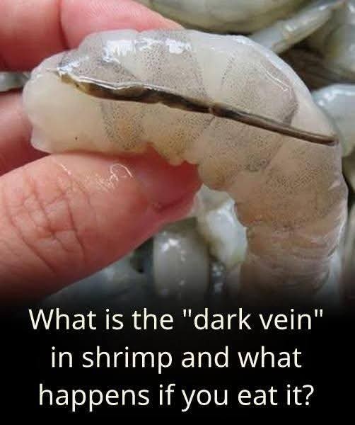 HT3. What exactly is the shrimp vein?.