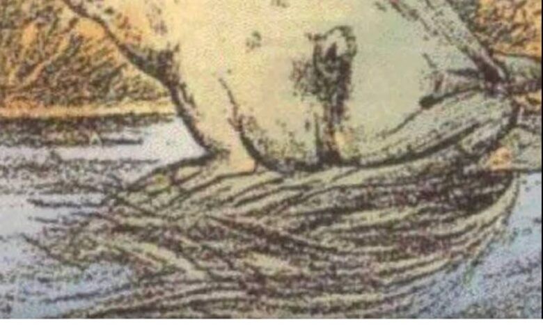 HT4. The Mind-Bending Viral Optical Illusion That Only 1% of People Can Solve: Can You Spot the Hidden Horse Before It’s Too Righteous?