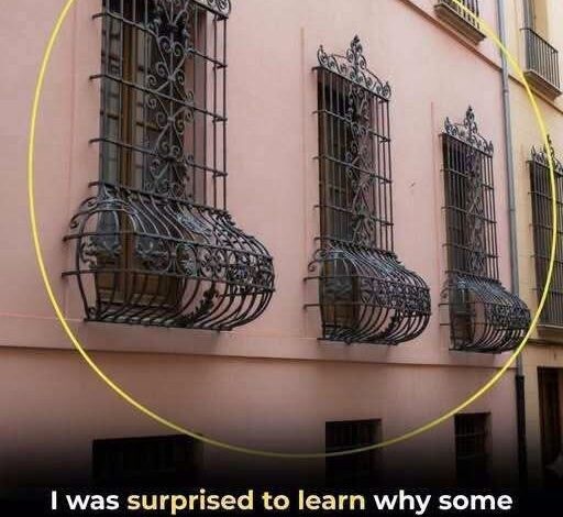 HT4. The Hidden Meaning Behind Those Strange Bulging Window Grills Will Change How You Look at City Streets Forever