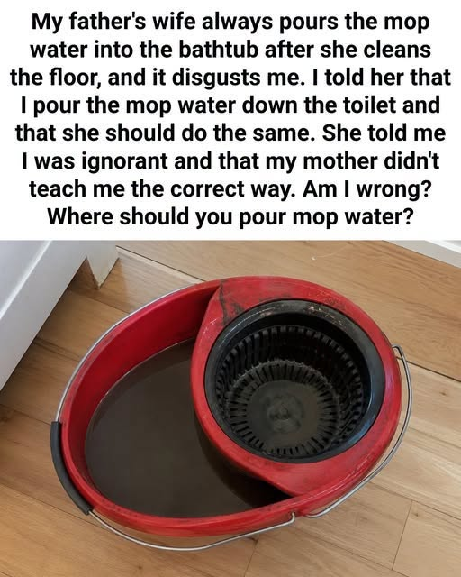 HT2. Where to Dispose of Dirty Mop Water: Toilet or Bathtub?