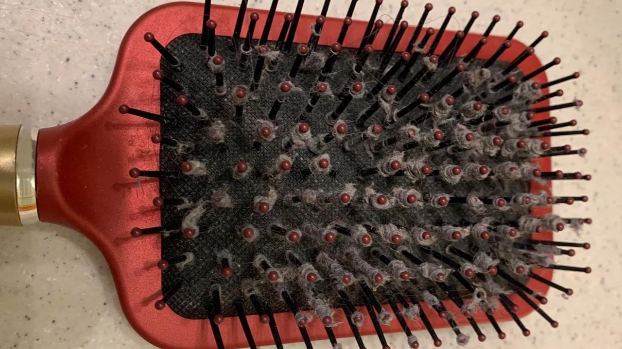 HT2. The truth about the grey fuzz in your hairbrush is more disgusting than you think