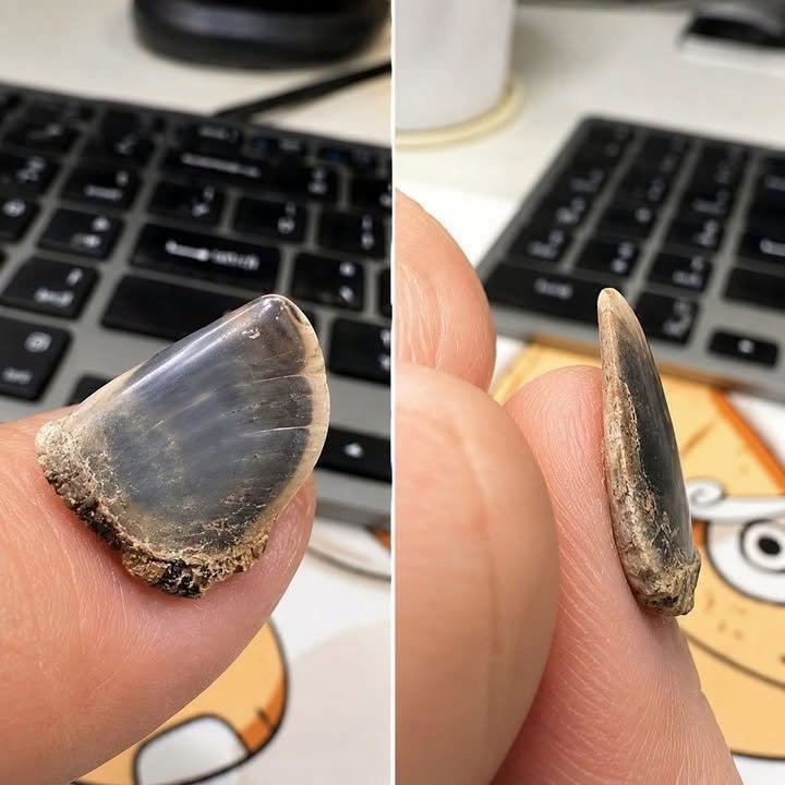 HT3. Understanding Why You Have Lines on Your Nails