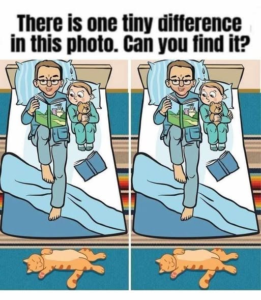 HT4. Can You Spot the Tiny Difference? This Picture Puzzle Tests Your Observation Skills