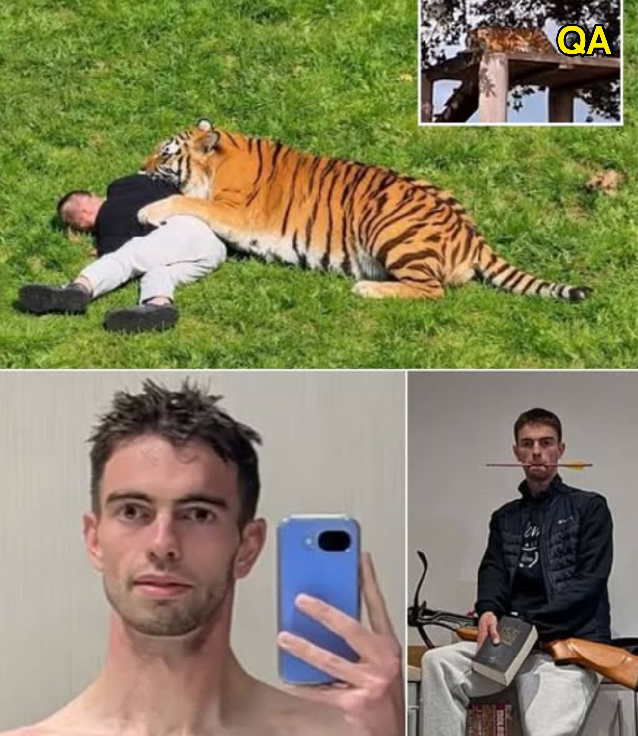 HT3. THE FINAL VIDEO FILMED BY THE TIGER ATTACK VICTIM HIMSELF HAS BEEN REVEALED — THE TIGER WAS STILL LYING MOTIONLESS AS HE APPROACHED, BUT THE UNUSUAL SOUNDS IN THE CLIP ARE THE DETAIL THAT SENDS CHILLS DOWN VIEWERS’ SPINES!