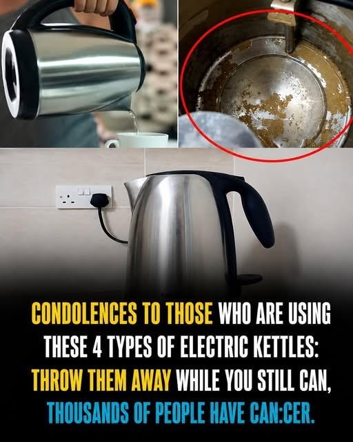 HT1. Condolences to Those Using These 4 Types of Electric Kettles: Throw Them Away While You Still Can