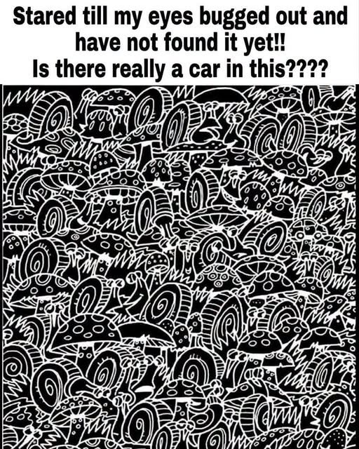 HT2. Is there really a car in this????
