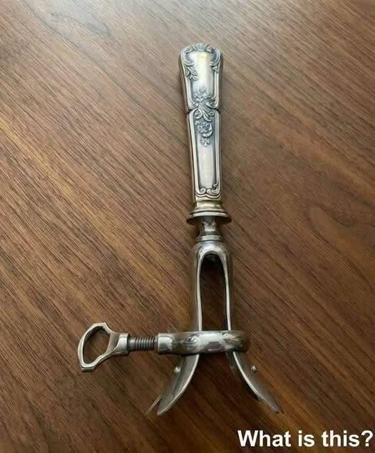 HT1. The Forgotten Object Hidden in My Grandmother’s Drawer Sparked a Family Mystery That Brought Us Closer Than Ever Before