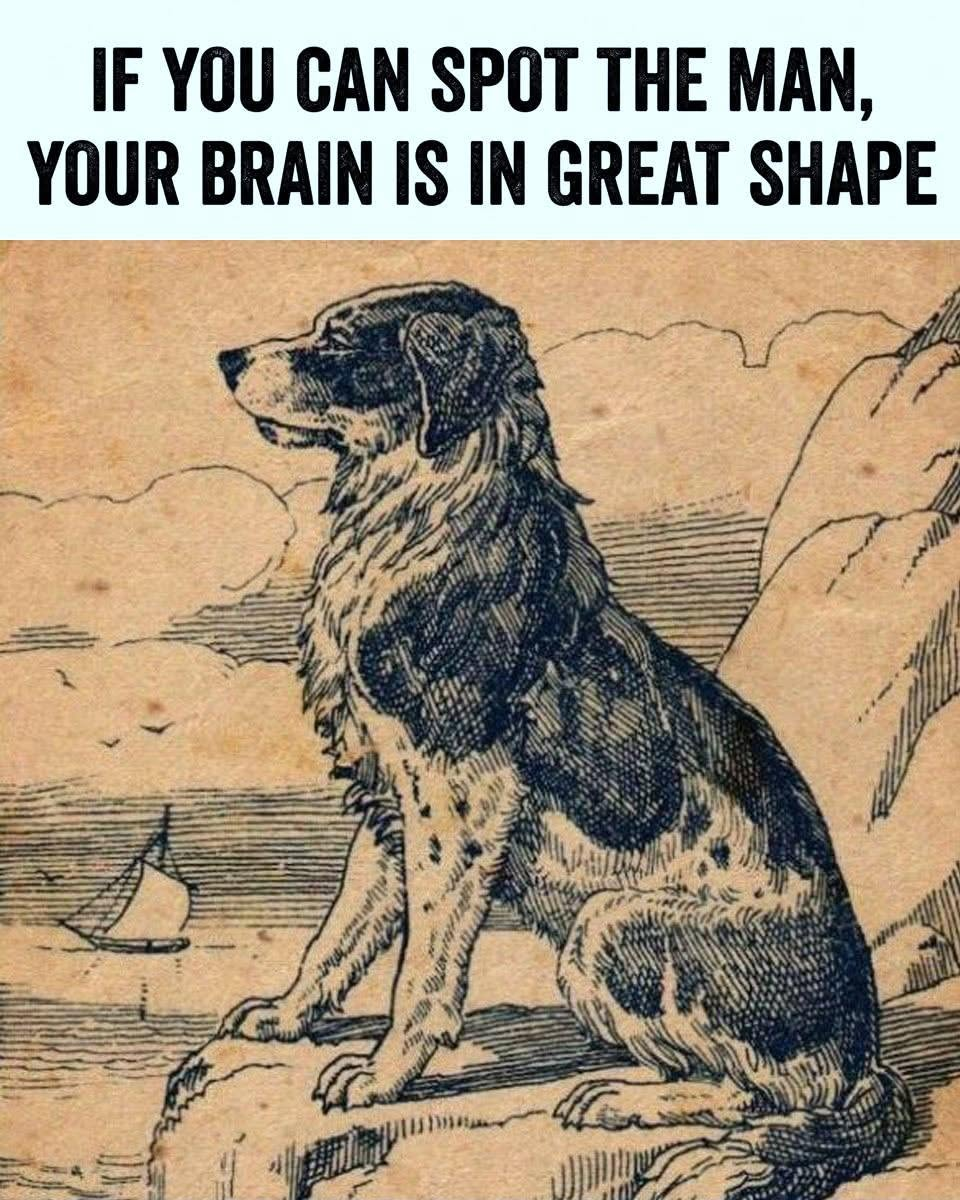 HT1. Brain Teaser: Spot the Hidden Man!