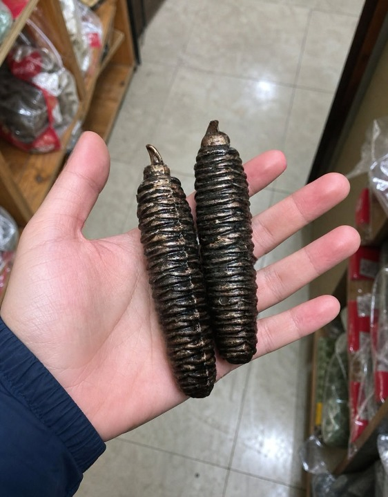 HT2. Search Results for “No, These Are Not Christmas Decorations. My Girlfriend Is Searching the House Where Her Grandmother and Aunt Have Lived All Their Liv”