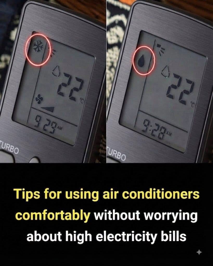 HT3. Tips for using air conditioners comfortably without worrying about electricity costs