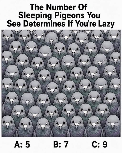 HT2. Count the Pigeons First and See What You Notice