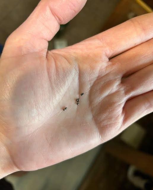HT3. Discovered Metal Balls Beneath Your Sink? This Is What They Signify