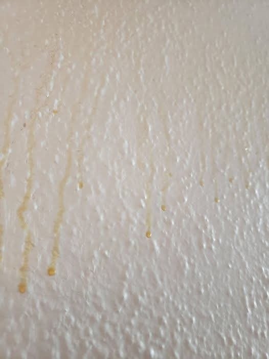 HT3. Yellow residue dripping down your bathroom walls? Find out what it might mean.
