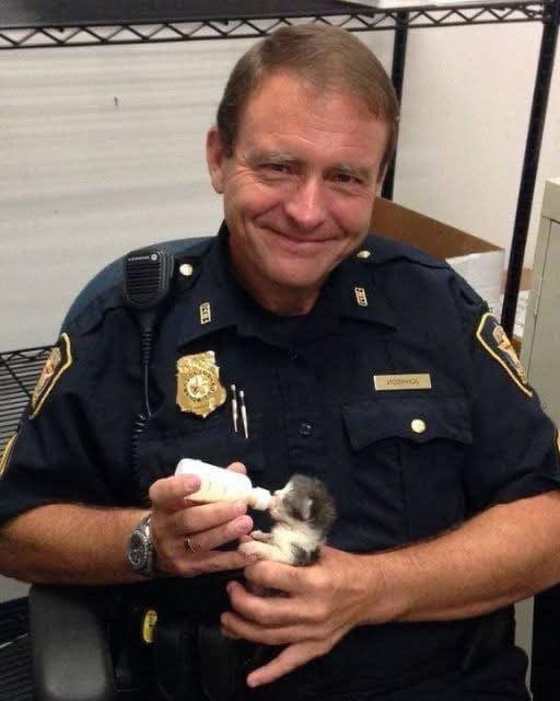 HT1. A police officer discovered a little kitten, but when he checked the security footage, his smile faded